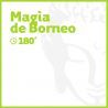 Borneo Magic - 180 minutes