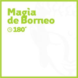 Magia de Borneo - 180 minutos